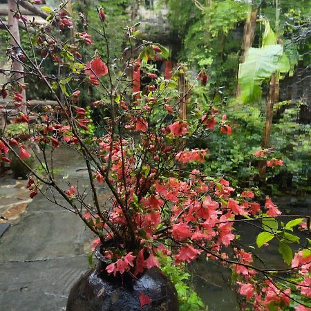 Wuyuan Qiye Yanxiang Guesthouse Екстер'єр фото